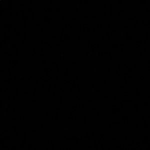 Meet your Posher, Wally